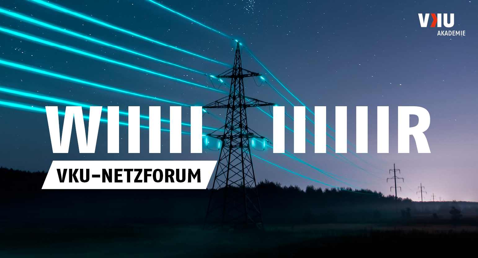 Netzforum_Übersicht