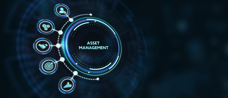 Assetmanagement_putilov_©denis-stock.adobe.com