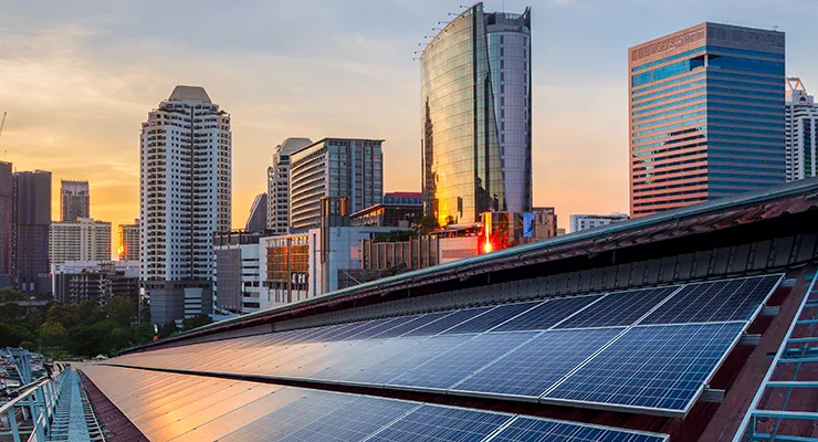 Grüne_Wärme_©funfunphoto - stock.adobe.com