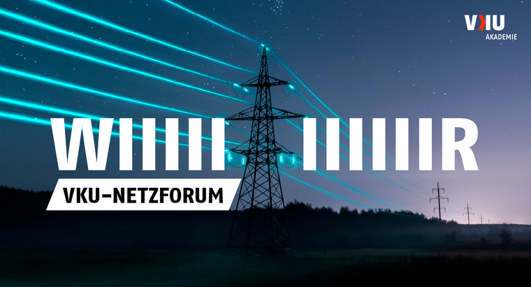 VKU-Netzforum 2025